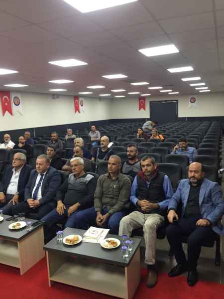 Etki̇nli̇kler
